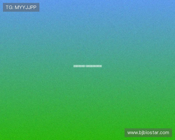 德甲赛季精彩回顾 聚焦球迷热情与精彩瞬间 德甲赛季精彩回顾 聚焦球迷热情与精彩瞬间